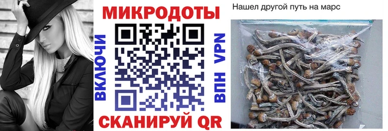 Галлюциногенные грибы ЛСД наркотики Сенгилей